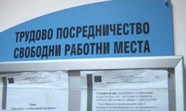 Глад за програмисти, лекари и учители на пазара на труда