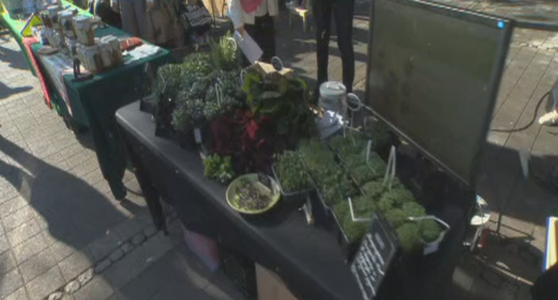 Днес се провежда първия по рода си фермерски пазар на