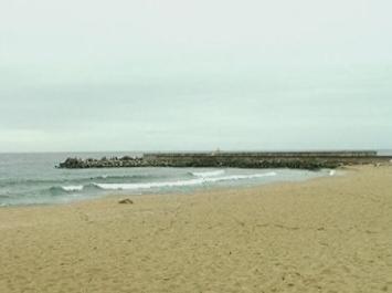 215-те местности около Варна няма да бъдат преименувани