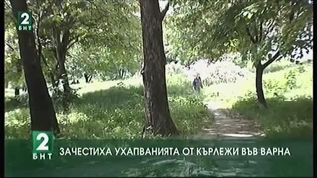 Зачестиха ухапванията от кърлежи във Варна