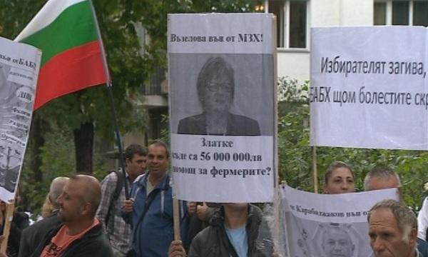 Напрежение между ветеринари и животновъди заради епидемията от син език (ОБЗОР)