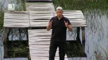 Зелена светлина на фокус: Животът се завръща в блатата на Персин