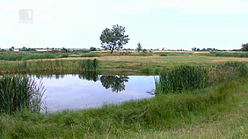 Зелена светлина на фокус: За Биволаре и чаплите край река Вит