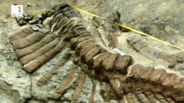 Откриха динозавър на 72 милиона години