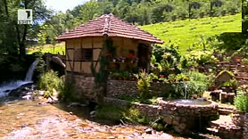 Зелена светлина на фокус: Труд, който носи щастие