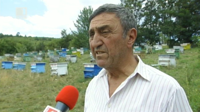 Фирма отровила пчели с пестициди