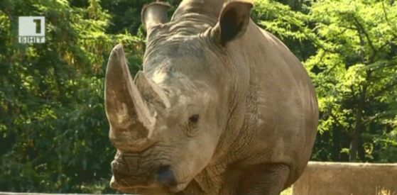 Лято в зоопарка