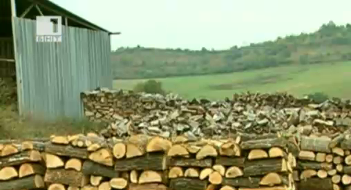 Започна кампанията за снабдяване с дърва за огрев