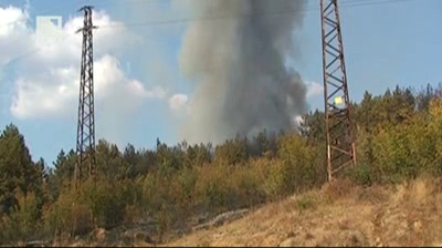 Голям горски пожар бушува край Харманли