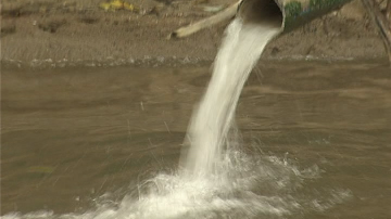 Замърсяване на Дунав край Ряхово