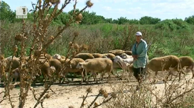 Промени в закона в полза на животновъдите