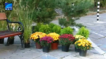 Паркинг дей в София