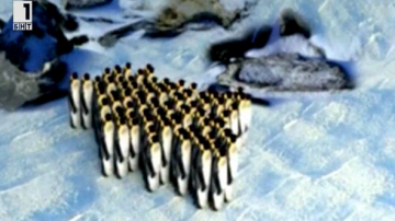 Императорите на бялата пустиня