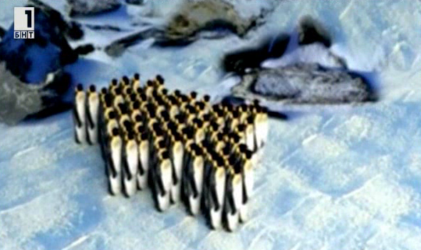 Императорите на бялата пустиня