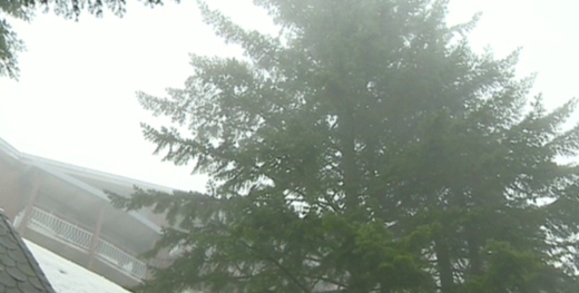 Времето за новогодишната седмица