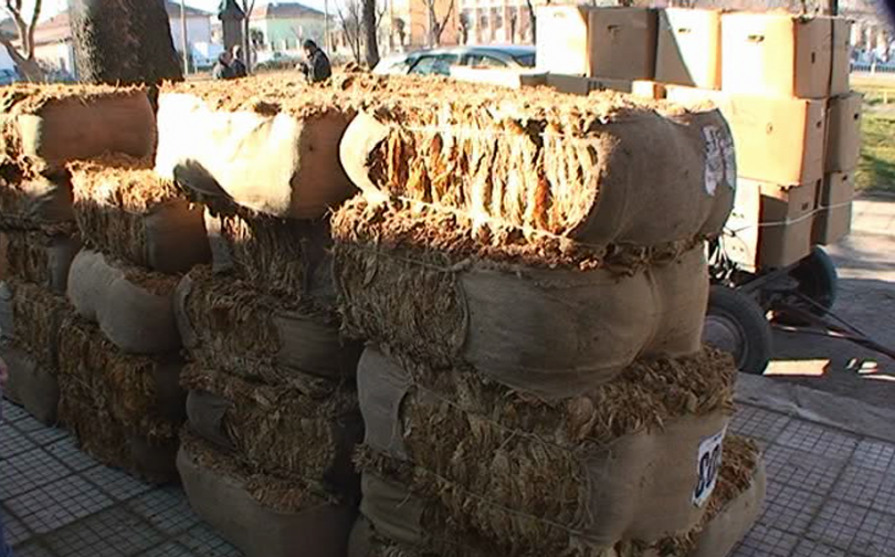 Абазов: Пълната либерализация е проблемът в тютюнопроизводството