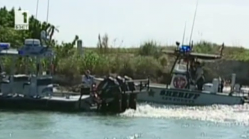 Масово самоубийство на делфини