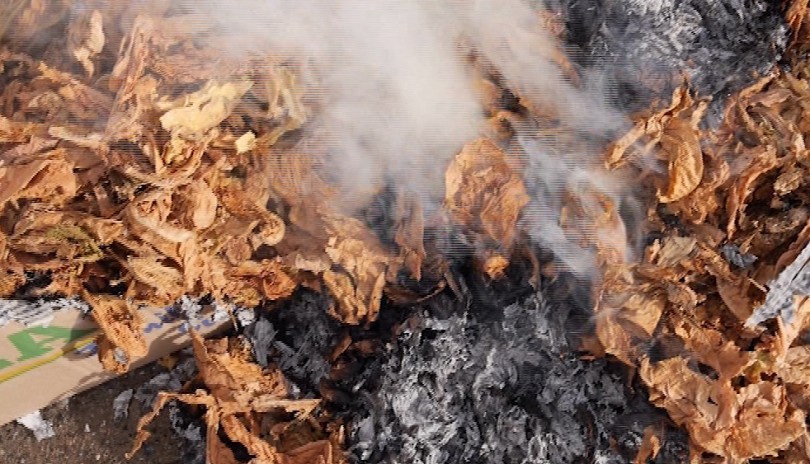 Тютюнопроизводители от Абланица се вдигнаха на протест
