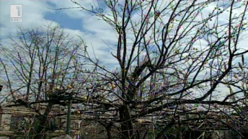 Зелена светлина: сушата през зимата