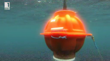 Зелена светлина: ловци на звуци