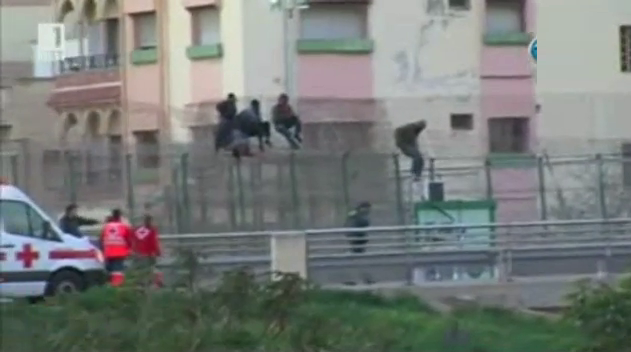 Над 1600 емигранти се опитаха да влязат в ЕС