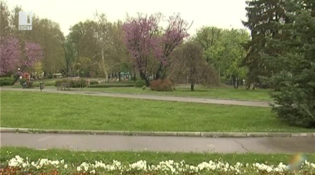 Със засаждане на дръвчета МВнР се включва в инициативата Ден на Земята