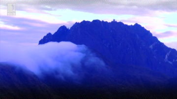 Зелена светлина: Входът към рая - 18 юли 2014 г.