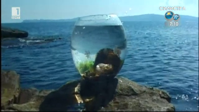 Под морските вълни
