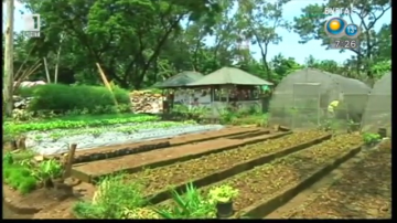 Зелена светлина: градини в бетонни джунгли - 30 септември 2014