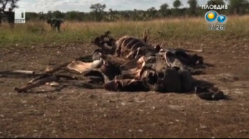 Зелена светлина: Изгубената война - 1 октомври 2014 г