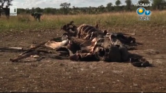 Зелена светлина: Изгубената война - 1 октомври 2014 г