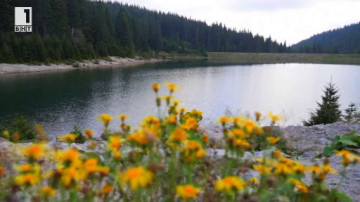 Зелена светлина: На слънце и вода - 15 октомври 2014