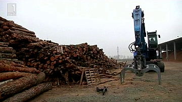 Зелена светлина: Енергия от дървен чипс и растителни остатъци