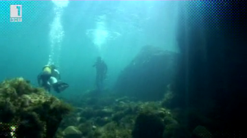 Зелена светлина: Преследване на мехури