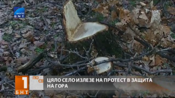 Цяло село на протест в защита на гора