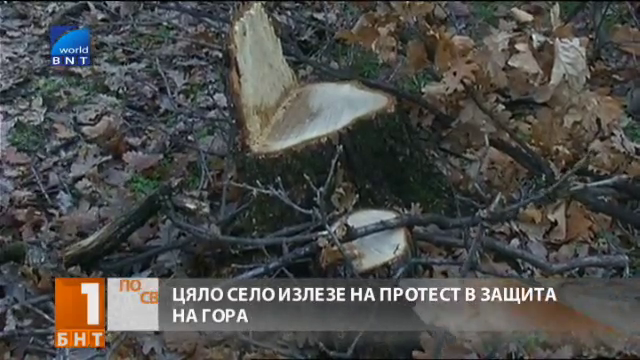 Цяло село на протест в защита на гора