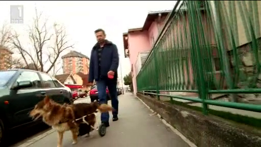 Зелена светлина: Спасителят на кучета - 17 март 2015 г.