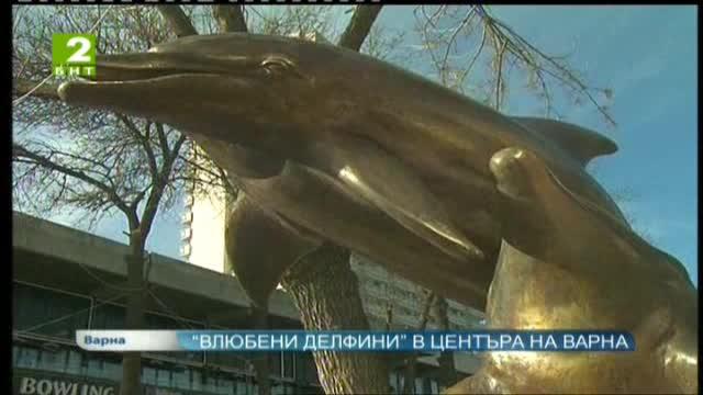 Влюбени делфини в центъра на Варна