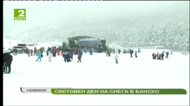 Световен ден на снега