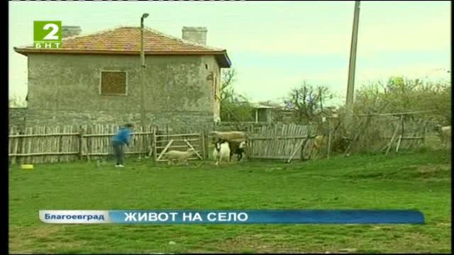 Живот на село