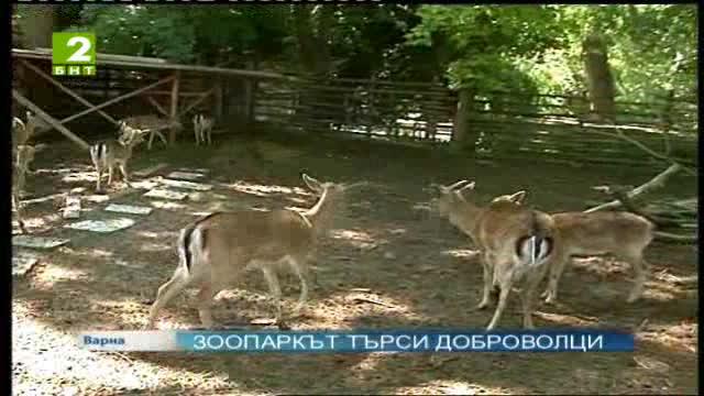 Варненският зоопарк търси доброволци