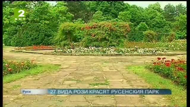27 вида рози красят русенския парк