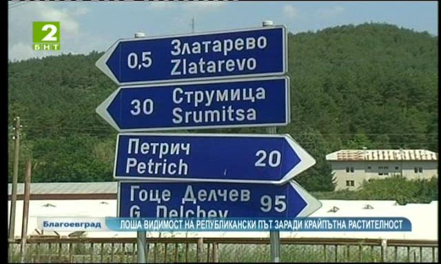 Лоша видимост на републикански път заради крайпътна растителност