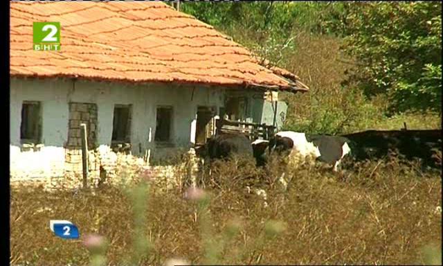 Проверяват заведенията край морето