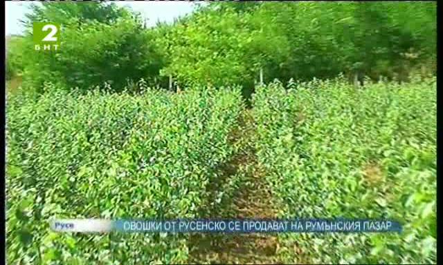 Овошки от Русенско се продават на румънския пазар