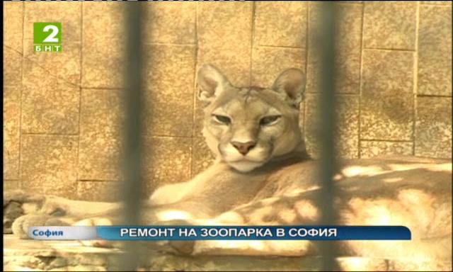 Започва дългоочакваният ремонт на Зоопарка в София