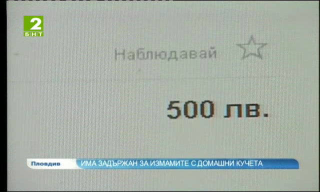 Има задържан за измамите с домашни кучета