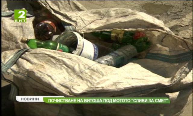 Почистване на Витоша под мотото „Сливи за смет“