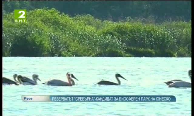 Резерватът „Сребърна“ ще се превърне в биосферен парк на ЮНЕСКО