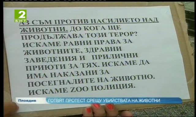 Готвят протест срещу убийствата на животни в Пловдив